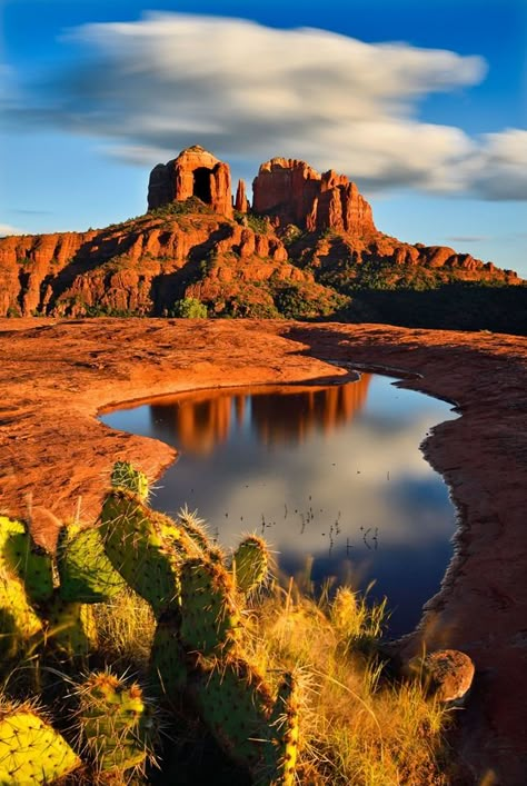 . Desert Places, Arizona Photography, Arizona Landscape, Red Rocks, Sedona Arizona, Beautiful Landscape Wallpaper, Landscape Drawings, Desert Landscaping, Nature Images