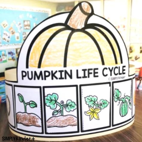 Pumpkin Life Cycle Hat - Simply Kinder Plus Pumpkin Day Activities Kindergarten, Pumpkin Projects For Kindergarten, Pumpkin Activity Kindergarten, Pumpkin Day Kindergarten, Pumpkin Life Cycle Kindergarten, Pumpkin Life Cycle Printable, Pumpkin Craft Kindergarten, Pumpkin Life Cycle Craft, Pumpkin Activities Kindergarten