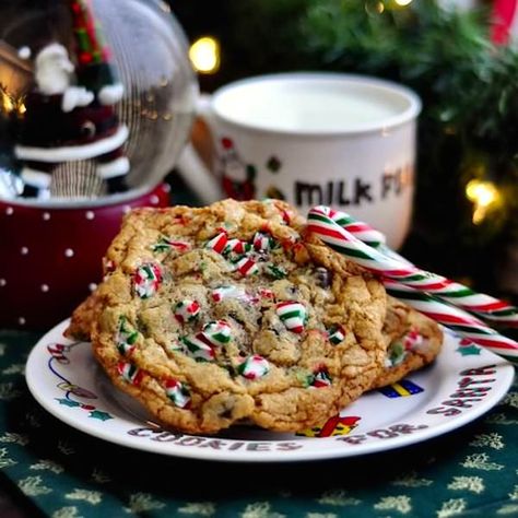 Chocolate Chip Candy Cane Cookies - I have it on good authority that these are Santa's favourite Candy Cane Cookie Recipe, Cookies And Candy, Xmas Recipes, Rock Recipes, Candy Cane Cookies, Chewy Chocolate Chip, Chewy Chocolate Chip Cookies, Indulgent Desserts, Candy Canes