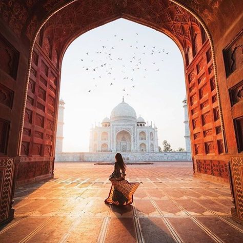 Tac Mahal, تاج محل, India Travel Places, Taj Mahal India, Foto Poses, Travel Images, Alam Yang Indah, Fotografi Potret, India Travel