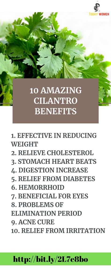 Do you know how Cilantro benefits to our health, If you are not consuming in day to day life then you will start from today after reading it. Cilantro Tincture Benefits, Herbal Tinctures Recipes, Cilantro Benefits, Herb Tips, Tinctures Recipes, Fennel Tea, Tea Health, Vegetable Benefits, Healing Tea