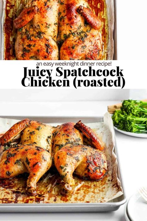 Spatchcock Chicken (Butterflied Chicken Recipe) - learn how to spatchcock a chicken and cook it to absolute perfection! So juicy and delicious! Baked Whole Chicken Recipes Spatchcock, How To Cook A Spatchcock Chicken, Spatchcock Chicken Dutch Oven, Baked Rotisserie Chicken Recipes, Baked Spatchcock Chicken Recipes, Spacocked Chicken Recipe, Spatcocked Chicken Oven, Spacocked Chicken, Flat Chicken Whole