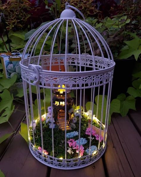 Fairy Garden Bird Cage, Bird Cage Fairy Garden Ideas, Birdcage Fairy Garden, Repurpose Bird Cage, Birdcage Ideas, Vintage Bird Cage Decor, Birdcage Light, Birdcage Planter, Bird Cage Candle