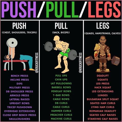 Cultivate a strong and balanced back. Push Pull Legs Workout, Push Day Workout, Push Pull Workout, Push Pull Legs, Push Workout, Push Day, Workout List, Workout Splits, Push And Pull