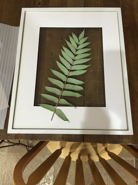 DIY Framed Botanical Greenery - The Schmidt Home Diy Botanical Art, Framed Greenery, Framed Botanicals, Botanical Wall Art, Diy Frame, Diy Hacks, Schmidt, Botanical Art, How To Make Your