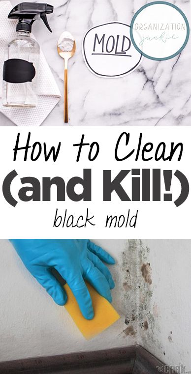 Kill Black Mold, Clean Black Mold, Remove Black Mold, Black Mold, Mold In Bathroom, Cleaning Mold, Diy Cleaning Solution, Homemade Cleaning Solutions, Diy Cleaning Hacks