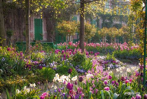 Spring Wallpaper Laptop, Monet Wallpaper, Giverny Monet, Monet Garden Giverny, Cottagecore Garden, Monet Garden, Giverny France, Tattoo Plant, Monet's Garden