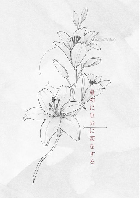 Lily Hibiscus Tattoo, Callily Flowers Tattoo, Tiger Lily Outline, Lily Flower Stencil, Lilies Flower Tattoo, Kataleya Flower Tattoo, Lily Tattoo Stencil, Lily Back Tattoo, White Lily Tattoo