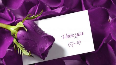 Attachment picture for Full HD Love Wallpaper with purple wet rose Full Hd Love Wallpaper, Happy Marriage Anniversary, Kind Photo, Love Wallpaper Download, I Love You Images, Wedding Anniversary Wishes, Happy Wedding Day, Anniversary Greetings, Valentines Day Funny