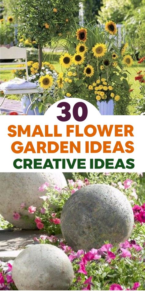 Transform your outdoor haven with these delightful small flower garden concepts to infuse color and charm into any cozy nook of your yard. Design a lively border garden featuring a variety of perennial blooms such as daisies and marigolds, arrange an adorable window box brimming with petunias and geraniums, or establish a vertical garden on a trellis showcasing flowing blossoms like morning glories. Small Flower Garden Ideas, Small Flower Garden, Border Garden, Fall Landscaping, Small Flower Gardens, Mailbox Landscaping, Flower Garden Ideas, Bucket Gardening, Cascading Flowers