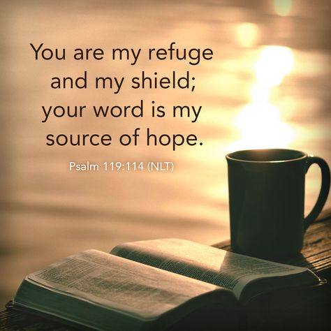 You are my refuge and my shield; you word is my source of hope. Psalm 119:114 NLT Psalms Verses, Psalm 119 114, Morning Words, God's Plans, Our Father In Heaven, Faith Encouragement, Bible Translations, Ayat Alkitab, Psalm 119