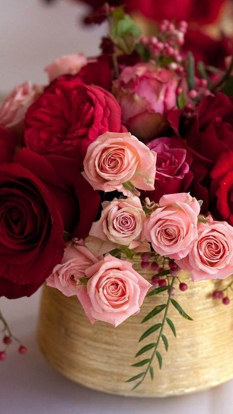 Drawing Roses, Love Rose Flower, Rose Flower Pictures, Rose Flower Wallpaper, Lovely Flowers Wallpaper, Bouquet Arrangements, Beautiful Bouquet Of Flowers, Beautiful Flower Arrangements, Beautiful Flowers Pictures