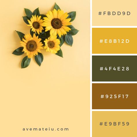 High angle view of beautiful sunflower on yellow surface Color Palette #305 - Ave Mateiu Dark Yellow Color Palette, Summer Palette Colors, Sunflower Palette, Yellow And Green Color Palette, Pallets Color, Yellow Color Scheme, Flowers Sunset, Palettes Color, Combination Color