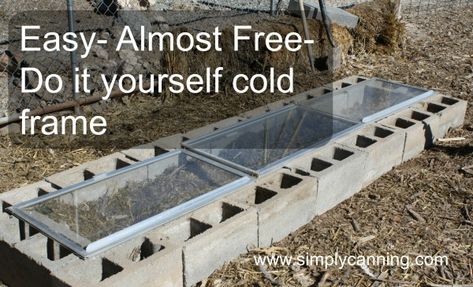 Do It Yourself Cold Frame, Cheap and easy. Diy Cold Frame, Garden Box Plans, Cold Frame Diy, Cold Frame Gardening, Patio Layout, Cinder Blocks, Vegetable Garden Raised Beds, Starting A Vegetable Garden, Easy Frame