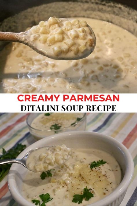 Ditalini soup recipe, parmesan soup, Ditalini Pasta, Ditalini mac and cheese, Ditalini soup recipes, Ditalini soup crockpot instant pot, Ditalini soup chicken, homemade italian soup, authentic creamy Italian soup, pasta soup recipe, creamy chicken pasta soup, cozy parmesan pasta soup, italian pasta soup, easy parmesan cheese recipe Ditalini Soup Recipes Crockpot, Pastalini Soup, Soup Ditalini, Ditalini Recipes, Soup With Ditalini Pasta, Ditalini Soup Recipes, Pasta Ditalini, Italian Penicillin Soup, Parmesan Pasta Soup