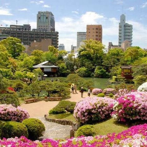 Kobe City, Kansai International Airport, Kobe Japan, Himeji Castle, Japan Itinerary, Hyogo, Go To Japan, Night Scenery, Domestic Flights