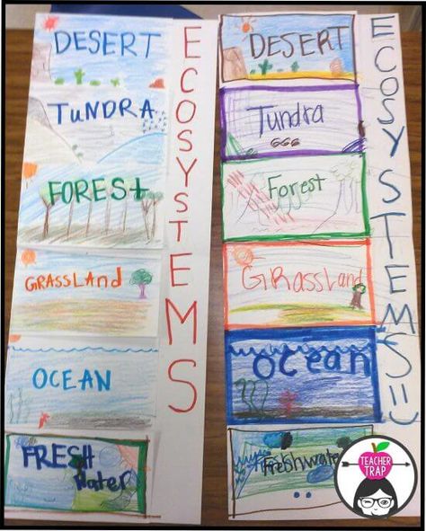 Animal Research and Ecosystem Project Ecosystem Stem Projects, Grasslands Biome Project, Ecosystem Activities 3rd, Ecosystem Science Project, Habitats Grade 4, Ecosystem Projects For Kids, Ecosystem Activities For Kids, Ecosystems 3rd Grade, Ecosystems 4th Grade