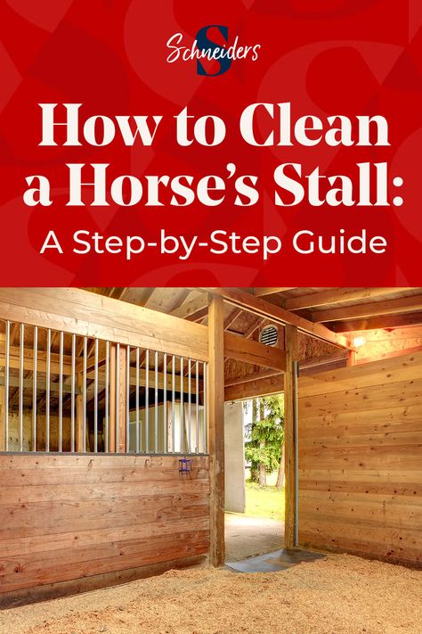 How to Clean a Horse Stall: a Step-by-Step Guide Horse Information, Horse Stall, Horse Stalls, Healthy Environment, A Horse, Step Guide, Well Being, Step By Step, Horses