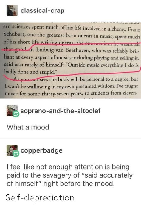 Classical Music Tumblr, Painted Violins, Funny Band Jokes, Musician Memes, Musician Humor, Band Jokes, Music Jokes, Music Nerd, Got Memes