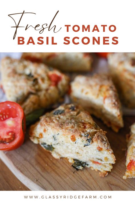 tomato basil scones Tomato Basil Scones, Tomato Scones, Basil Scones, Cheese Scones, Savory Scones, Summer Brunch, Seasonal Produce, Lemon Basil, Tomato Pesto