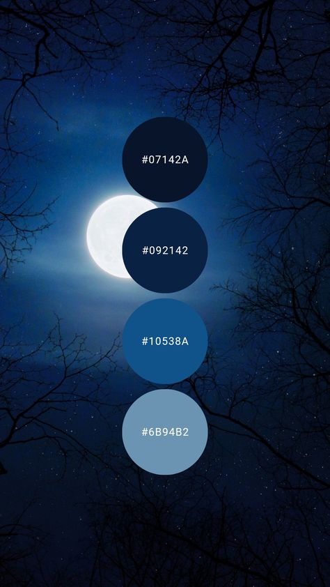 Deep Blue Colour Palette, Blue Moon Color Palette, Color Palette Midnight Blue, Dark Blue Colour Scheme, Midnight Blue Colour Palette, Night Sky Color Palette, Midnight Blue Color Palette, Midnight Color Palette, Moon Color Palette