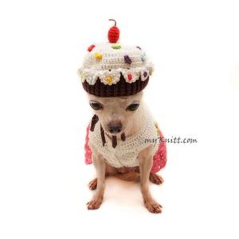 Dog Hat Crochet, Cupcake Dog, Birthday Crochet, Crochet Birthday, Cake Hat, Crochet Dog Hat, Costume Crochet, Cupcake Hats, Crochet Dog Clothes