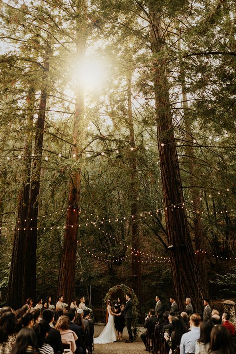 Picture Deer Park Villa, Forest Wedding Venue, Twilight Wedding, California Redwoods, Enchanted Forest Theme, Redwood Wedding, Rustic Wedding Photography, Forest Theme Wedding, Enchanted Forest Wedding