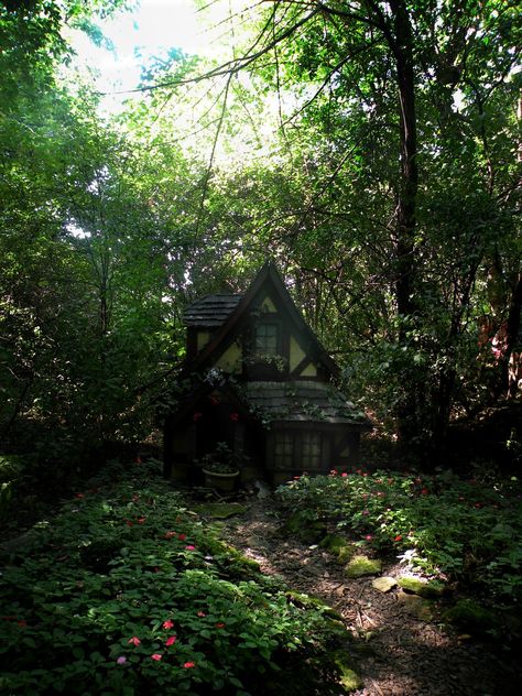 Small Woodland Cottage, Hidden Cottage In The Woods, Dark Cottage House, Cottage Aesthetic House, Small House In Forest, Cottage In The Woods Aesthetic, Cottage In Forest, Cabin In The Woods Aesthetic, Shack In The Woods