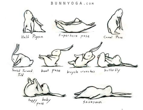 Rabbits Doing Yoga.  Trying to get my boys to do yoga with me is like trying to get the bunnys out back to join in. Bunny Yoga, Yoga Routine For Beginners, Yoga Help, Yoga Postures, Yoga Stretches, Yoga Sequences, Yoga Routine, Yoga For Kids, Morning Yoga