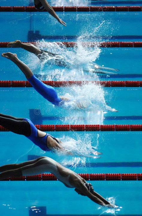 Swim dive start 01. Women dive into the pool at the start of a swimming race , #Ad, #start, #Swim, #dive, #swimming, #race #ad Swimmer Diving Into Pool, Swimming Competition Aesthetic, Swimming Sport Aesthetic, Swimming Collage, Competitive Swimming Aesthetic, Swimming Aesthetic Sport, Diving Into Pool, Swimming Pics, Swimming Pool Aesthetic