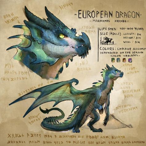 Dragon Species, Sus Stuff, Dragon Anatomy, Dragon Drawings, Httyd Dragons, Dragon Sketch, Fantasy Creature, Cool Dragons, Mythical Animal