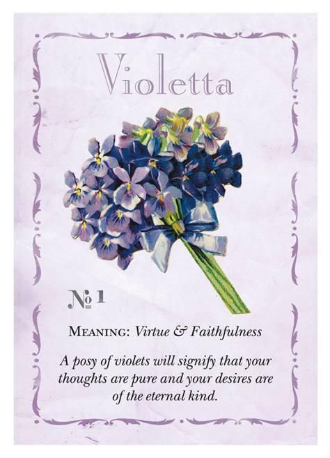 Penhaligons Floriography Card No 1 Violetta Bouquet Of Violets, Sweet Violets, Flower Meanings, Symbols And Meanings, Flower Names, Language Of Flowers, Flower Quotes, African Violets, الرسومات اللطيفة