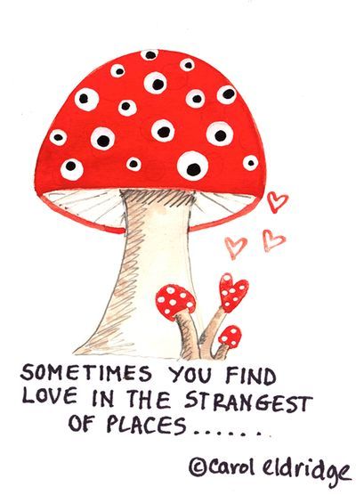 mushroom love Fascinating Quotes, Mushroom Collection, Walking In The Woods, Merry Mushroom, Red And White Mushroom, Crystal Vibes, Cute Words, Visual Poetry, Bullet Journal Inspo