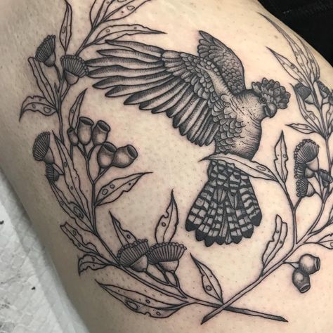 Black Cockatoo Tattoo, Cockatoo Tattoo, Botanical Tattoos, Flowering Gum, Black Cockatoo, Native Tattoos, Tough Cookie, Botanical Tattoo, Australian Birds