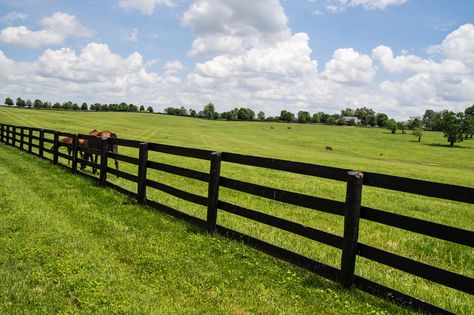 The installation of horse fencing can be time-consuming and cost-intensive. With proven techniques, you can make sure you get it right the first time. Diy Horse Fence, Horse Pasture Ideas, Wooden Fencing, Horse Pasture, Horse Shed, Pasture Fencing, Horse Fence, Horse Corral, Horse Arena