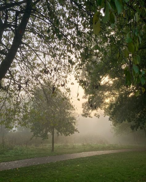 morning mist gathered around trees with fog covering the rising sun Sunrise Pictures, Morning Running, Foggy Morning, Nature Aesthetic, Good Day, Kids Playing, Country Roads