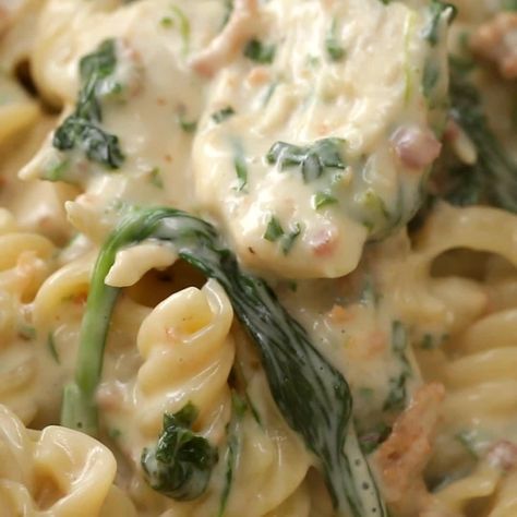 Chicken Spinach Alfredo Rotini Pasta Recipes With Alfredo, Recipes With Alfredo Sauce, Chicken Alfredo Sauce Recipe, Rotini Pasta Recipes, Pasta Parmesan, Bacon Alfredo, Shrimp Spinach, Lemon Garlic Shrimp Pasta, Spinach Alfredo