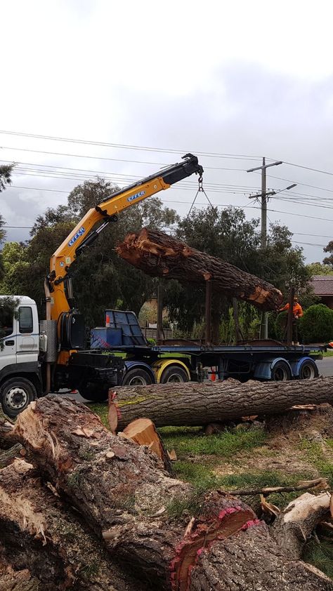 Whether your acreage is large or small, individual or commercial, we have a service for you. Land Clearing, Tree Removal, Full Service, Melbourne, Range, Building