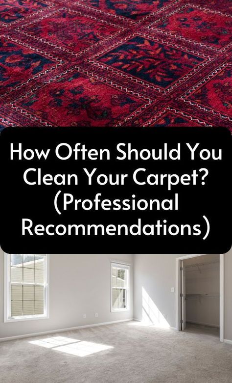 All your cleaning questions answered. Here's the exact number of often you need to clean your carpets to prevent them from turning nasty. Best cleaning tips for carpets and rugs! Carpet Cleaning Business, Carpet Cleaning Machines, Carpet Shampoo, Carpets And Rugs, Cleaning Business, Cleaning Equipment, How To Clean Carpet, Cleaning Tips, Deep Cleaning