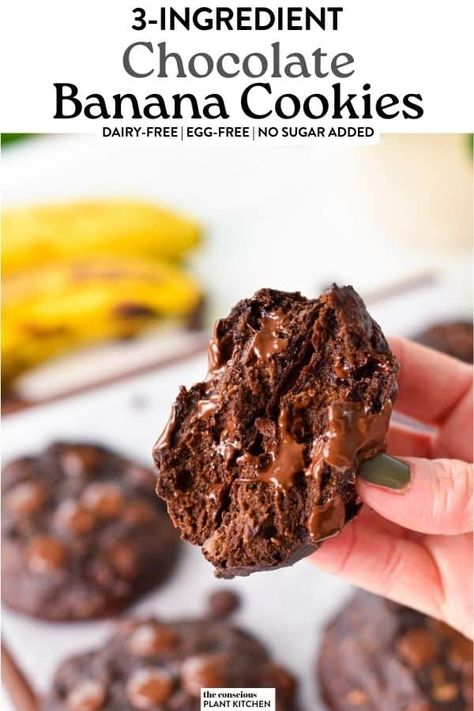 Healthy Cocoa Cookies, Cookies With Bananas Healthy, Banana Cookies No Egg, Chocolate Banana Oatmeal Cookies, Flourless Banana Cookies, Healthy Chocolate Cookie Recipes, Banana Brownie Cookies, 3 Ingredient Chocolate Cookies, Healthy Banana Chocolate Chip Cookies