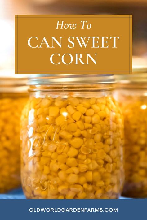 Three glass jars of sweet corn that have been preserved by canning. From oldworldgardenfarms.com. How To Can Corn, Canned Corn Recipes, Canning Corn, Water Bath Canning Recipes, Sweet Corn Recipes, Can Corn, Canning Salt, Easy Canning, Canning Peaches