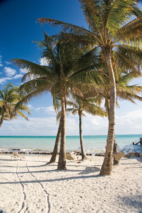 Key West, Palm Trees, Boats, The Beach, Things To Do, Florida, Trees, Key, Water