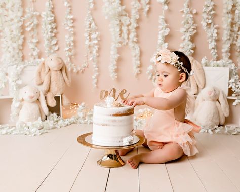 Bunny Themed Photoshoot, Bunny Cake Smash Photoshoot, Some Bunny Is One Photo Shoot, Some Bunny Is Turning One Cake Smash, One Year Photoshoot Ideas Indoor, Some Bunny Is Turning One Photo Shoot, Some Bunny Is One Cake Smash, Some Bunny Is Turning One Cake, Bunny Cake Smash