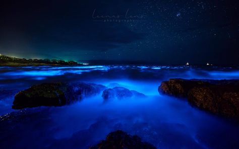 Bioluminescence, Bicheno, Tasmania, Australia, by Leena's Lens Bioluminescence Aesthetic, Aesthetic Horizontal, 30 November, Chemical Reaction, Capture Moments, Moments In Time, Tasmania Australia, Life Is A Gift, Blue River