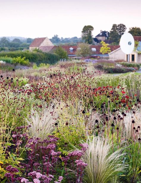 Naturalistic Garden, Prairie Planting, Dutch Gardens, Piet Oudolf, Prairie Garden, Meadow Garden, Dry Garden, Cottage Garden Design, Gravel Garden