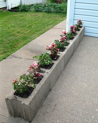 Cinder Block Garden, نباتات منزلية, Landscaping Supplies, Garden Yard Ideas, Backyard Garden Design, Concrete Planters, Magic Art, Small Gardens, Yard Ideas