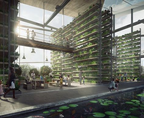 Urban Farming Architecture, Indoor Farming, Competition Winner, Urban Design Architecture, Modern Agriculture, Vertical Farming, Urban Agriculture, Natural Ecosystem, Green Architecture