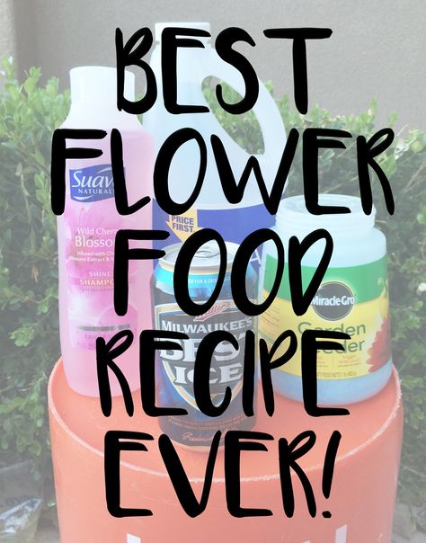 Flower Food Recipe, Homemade Plant Food, Miracle Grow, Beautiful Outdoor Spaces, Nail Swag, Flower Food, Diy Plants, Plant Food, Best Diy