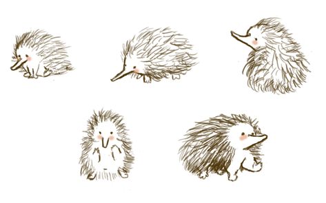 e is for echidna Echidna Illustration, Echidna Tattoo, Echidna Drawing, Cute Tips, Australian Fauna, Bee Tattoo, Book Illustration Art, Sister Tattoos, Art Contest