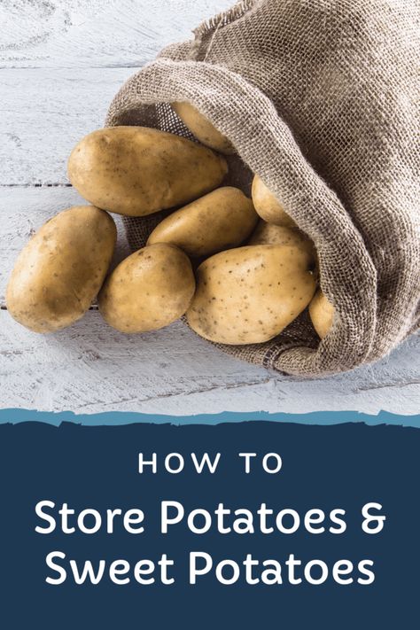 How to store potatoes and sweet potatoes Sweet Potato Storage, Store Sweet Potatoes, Sprouting Potatoes, Potatoes And Sweet Potatoes, Freezing Food Guide, Good Sweet Potato Recipe, Storing Food Long Term, Patio Gardening, Potato Storage